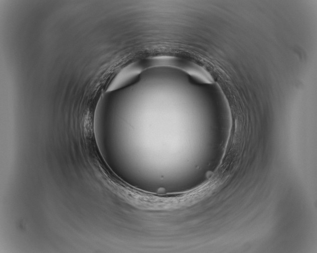 X0000112470048200908171208