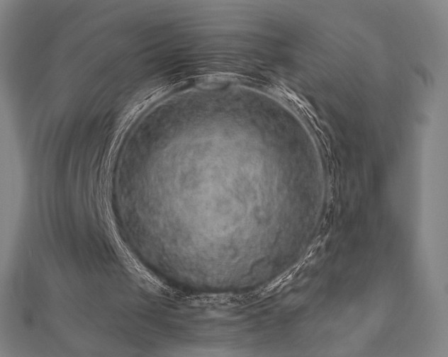 X0000112470049200908171207