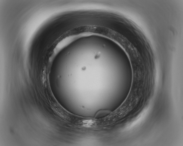 X0000112470050200908171207