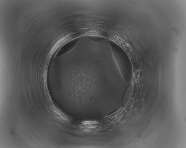 X0000112470051200908171207