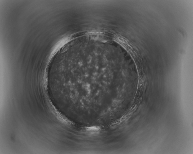 X0000112470053200908171207