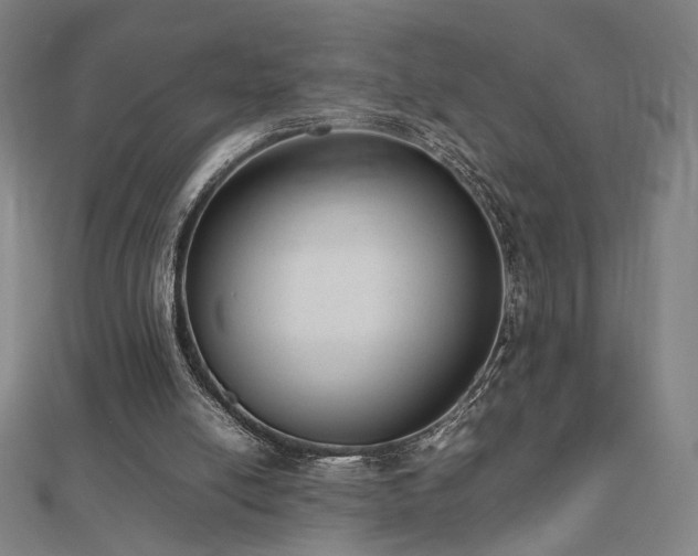 X0000112470054200908171207