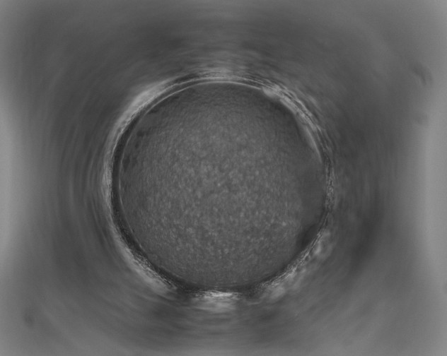 X0000112470055200908171207