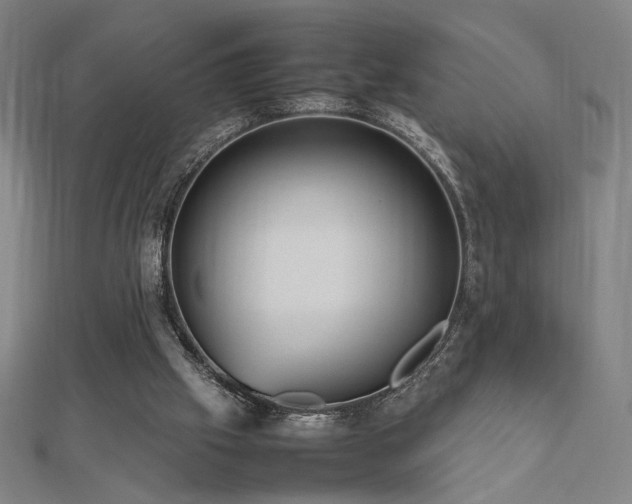 X0000112470057200908171207