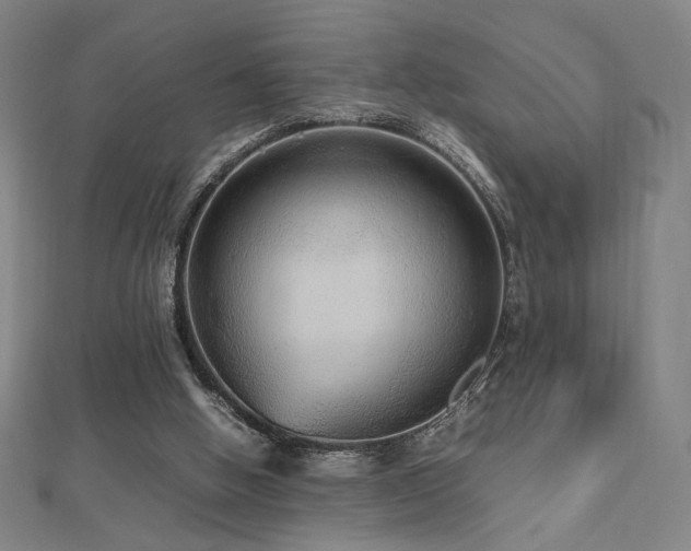 X0000112470058200908171207