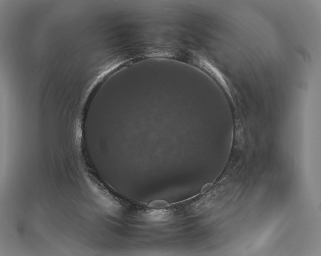 X0000112470059200908171207