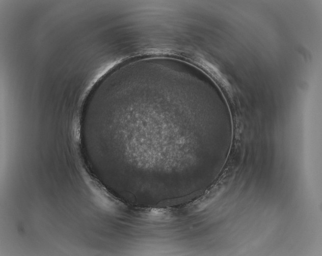 X0000112470060200908171207