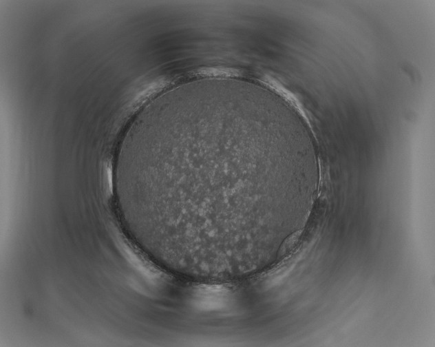 X0000112470061200908171207