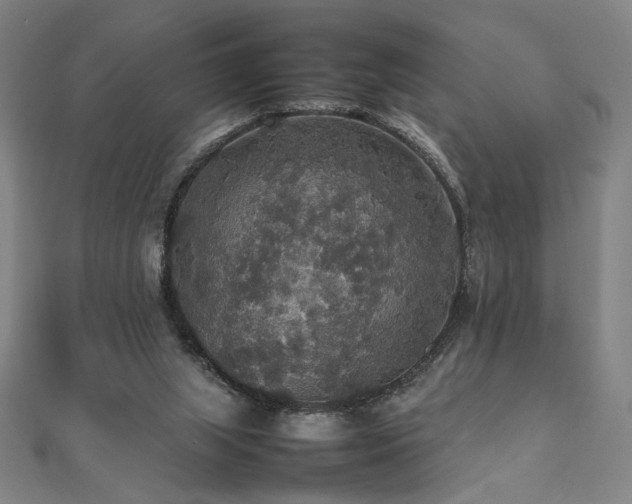 X0000112470063200908171207