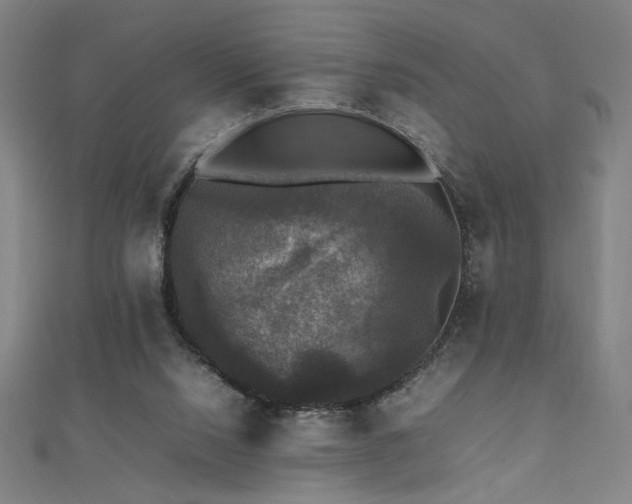 X0000112470064200908171207