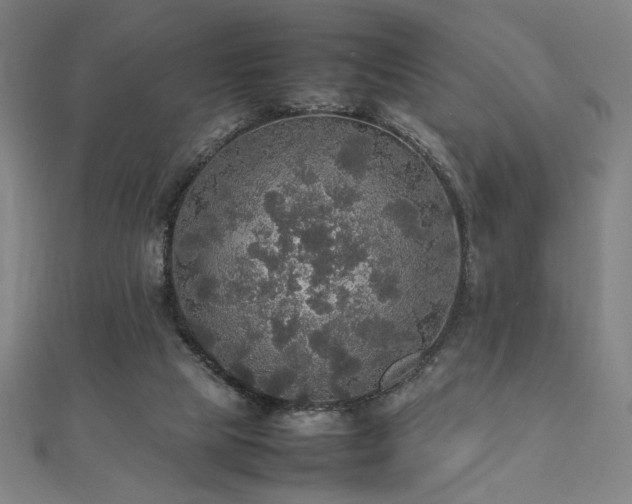 X0000112470065200908171207