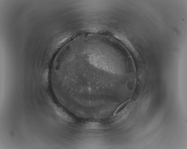 X0000112470066200908171207