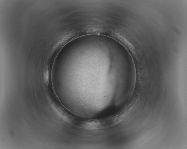 X0000112470067200908171207