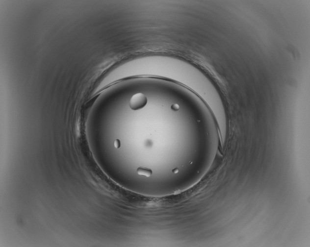 X0000112470068200908171207