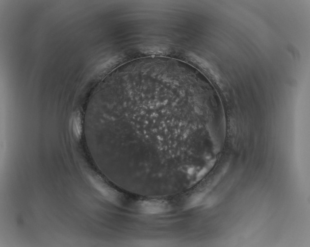 X0000112470069200908171207