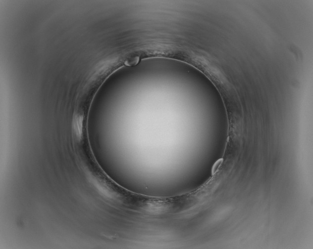 X0000112470070200908171207