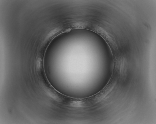 X0000112470071200908171207