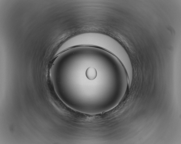 X0000112470072200908171207