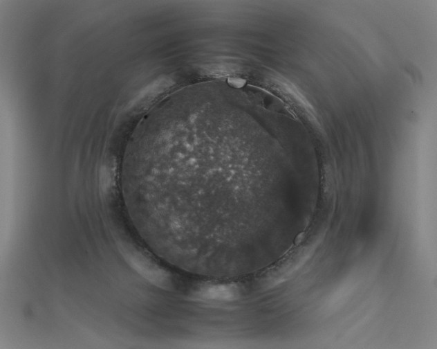 X0000112470073200908171207