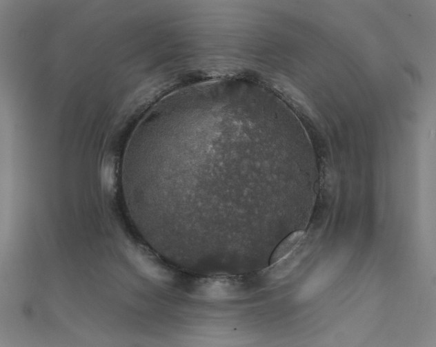 X0000112470074200908171207