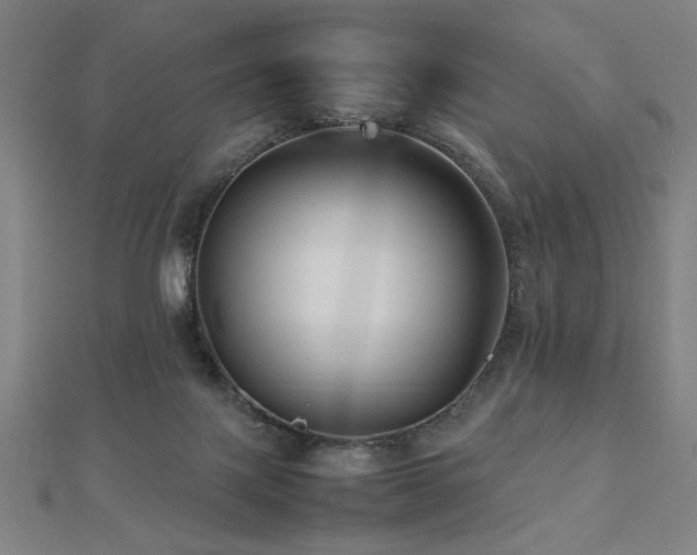 X0000112470075200908171207