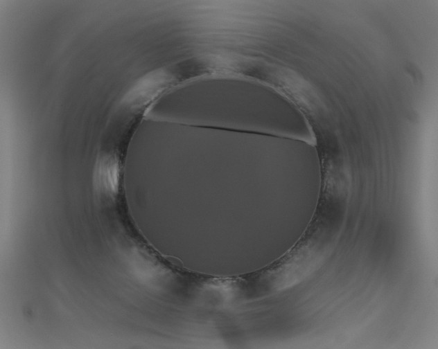 X0000112470076200908171207