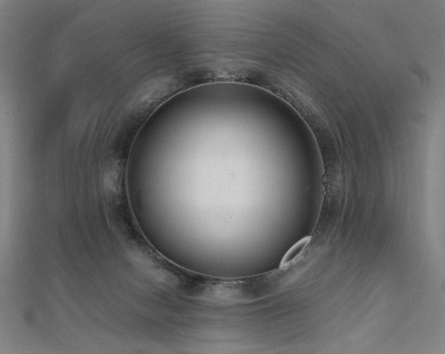 X0000112470078200908171207