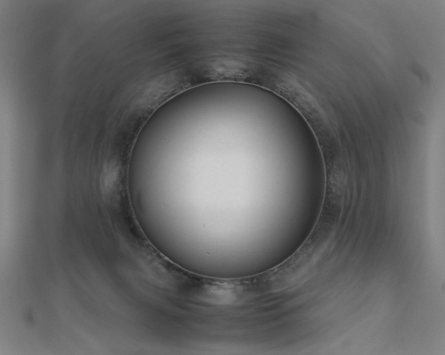 X0000112470079200908171207