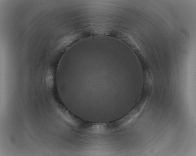 X0000112470080200908171207