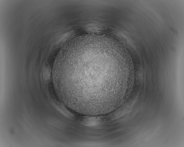 X0000112470081200908171207