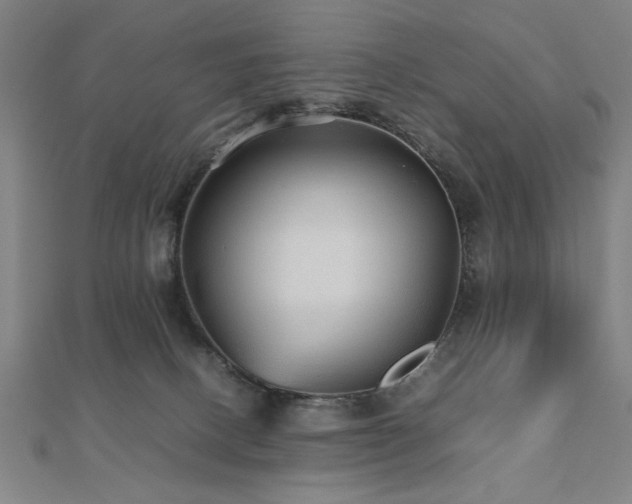 X0000112470082200908171207