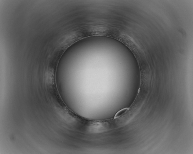 X0000112470083200908171207