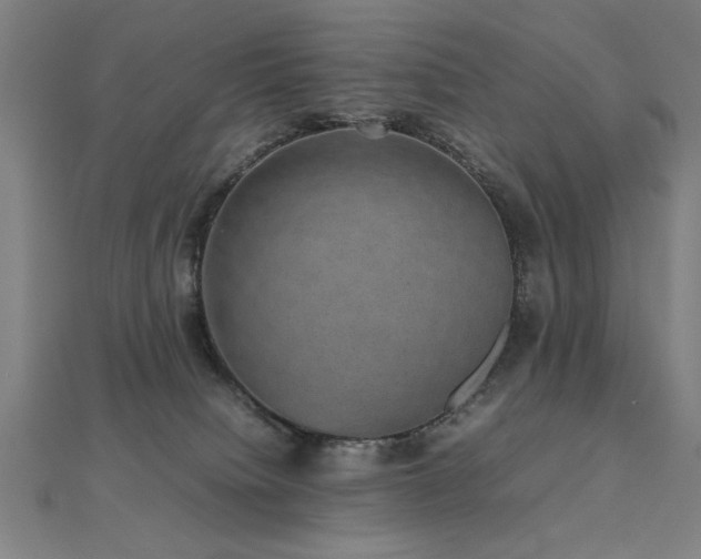 X0000112470084200908171207