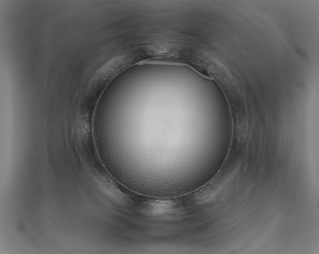 X0000112470085200908171207