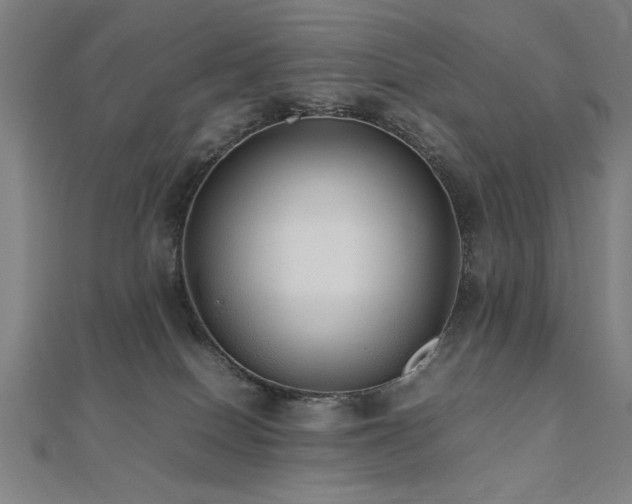 X0000112470086200908171207