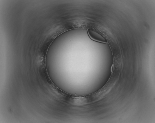 X0000112470087200908171207