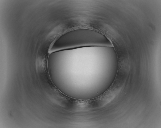 X0000112470088200908171207