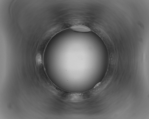 X0000112470089200908171207