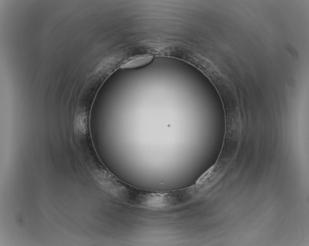 X0000112470090200908171207