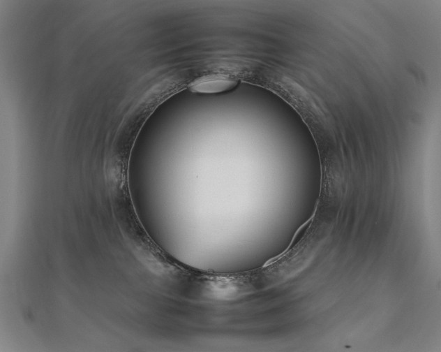 X0000112470091200908171207