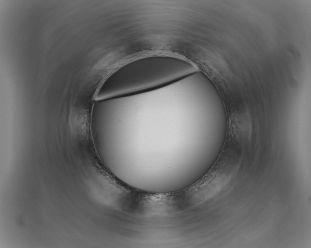 X0000112470092200908171208