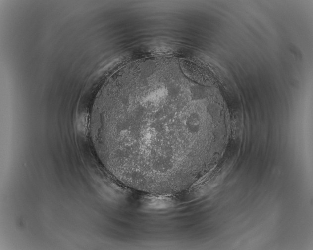 X0000112470093200908171208