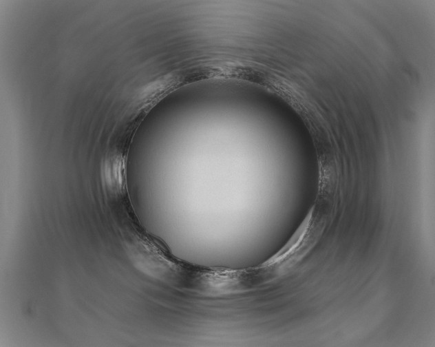 X0000112470094200908171208