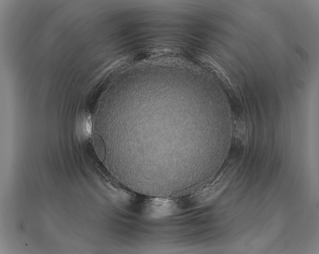 X0000112470095200908171208