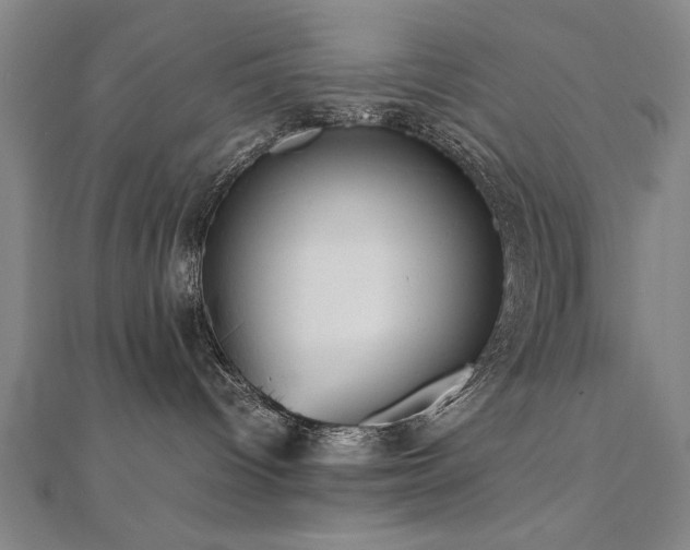 X0000112470096200908171208