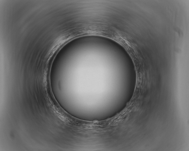 X0000112470098200908171207