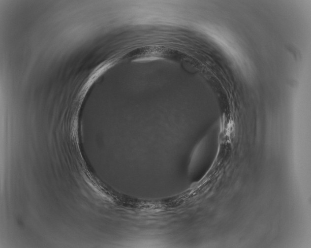 X0000112470099200908171207