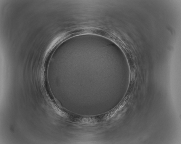 X0000112470101200908171207