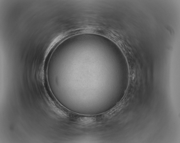 X0000112470102200908171207