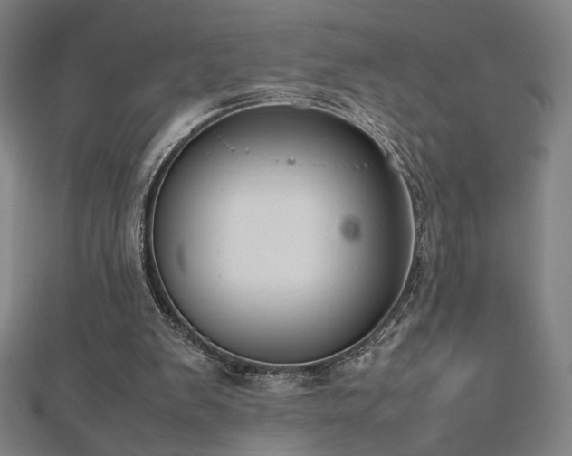 X0000112470103200908171207